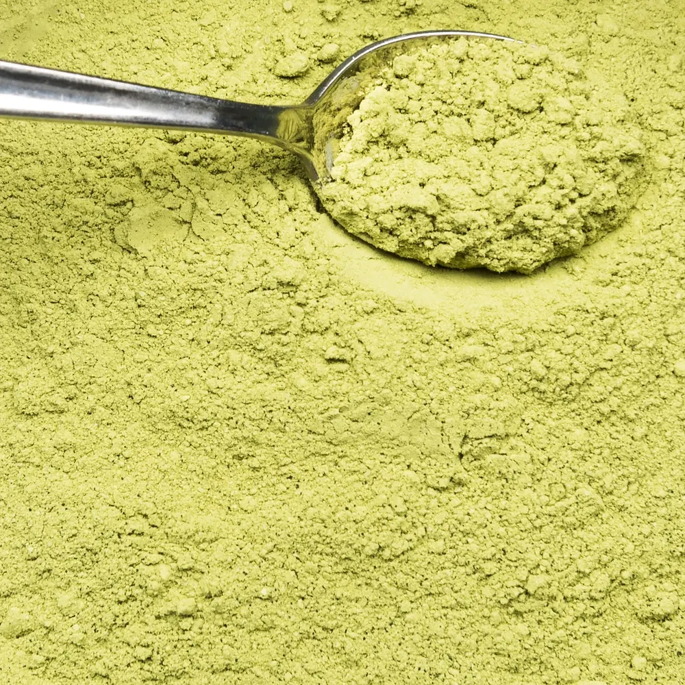 Spirulina em pó
